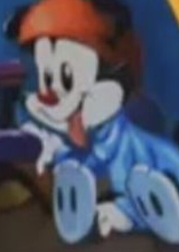 Baby wakko