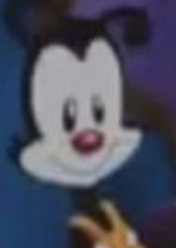 Baby yakko