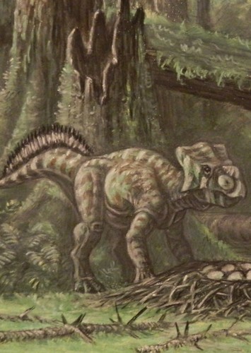 Bagaceratops