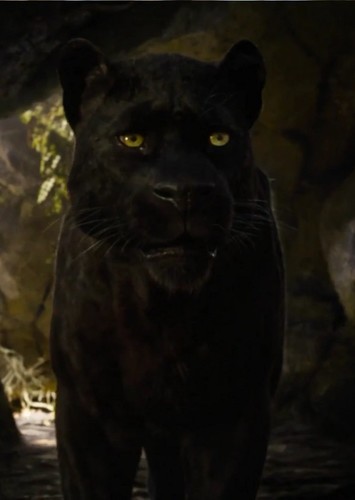 Bagheera