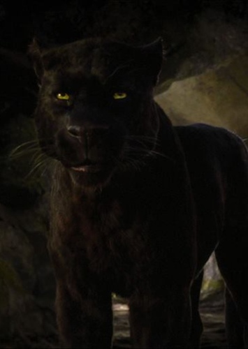 Bagheera