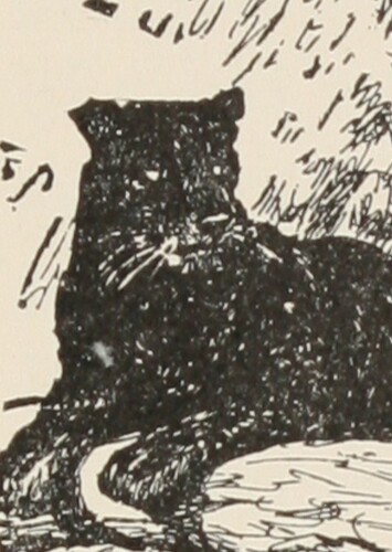Bagheera the Black panther