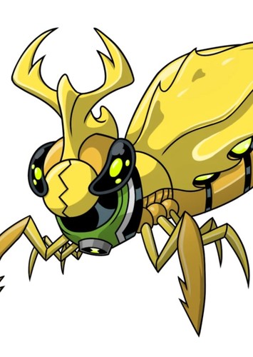 Ball Weevil