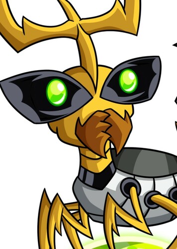 Ball Weevil