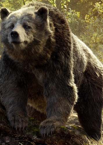 Baloo