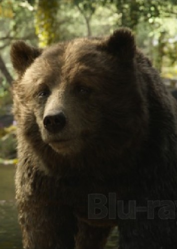 Baloo
