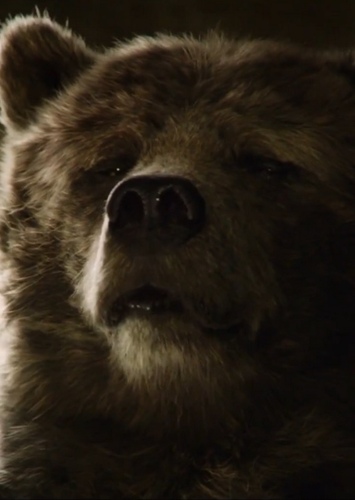 Baloo