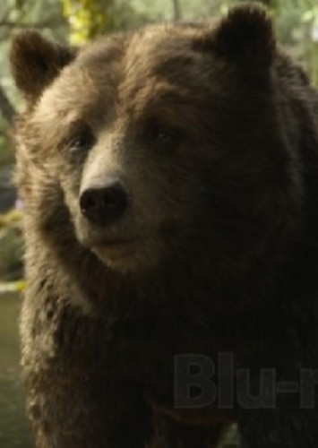 Baloo