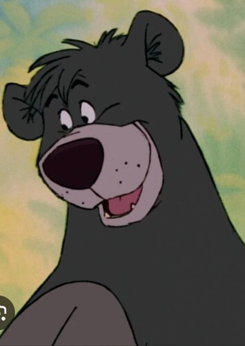 Baloo The Bear