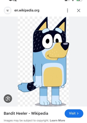 Bandit