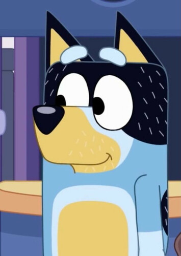 Bandit