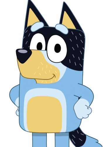 Bandit