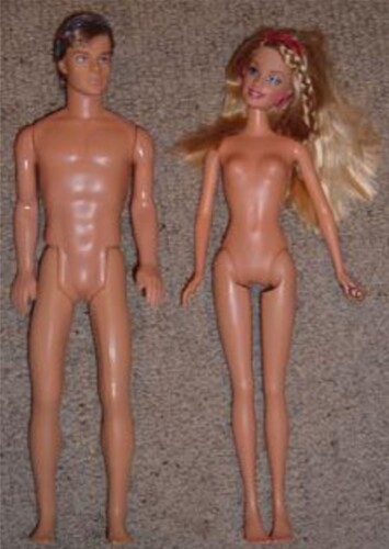 Barbie Doll Anatomy
