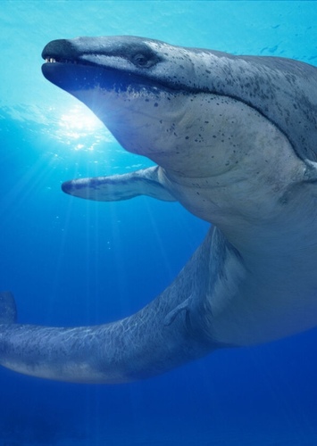 Basilosaurus
