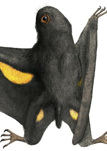 Batrachognathus