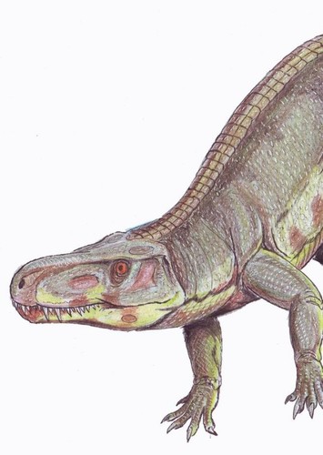 Batrachotomus