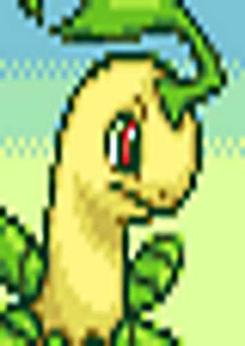 Bayleef