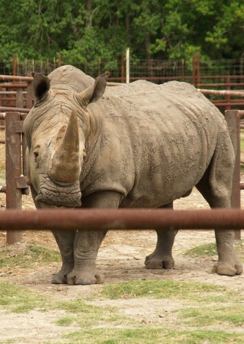 Bayou Wildlife Zoo