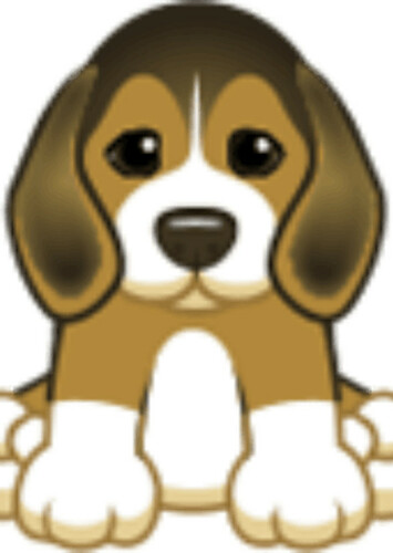 Beagle Puppy