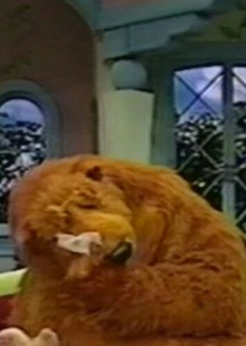 Bear Fan Casting for In Loving Memory of Janice Burgess (1952-2024 ...