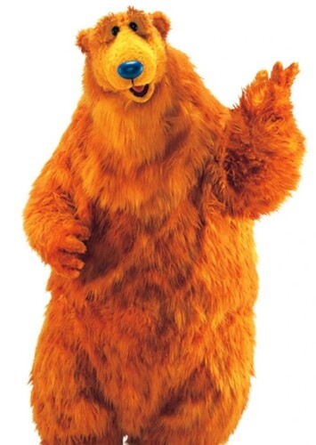 Bear