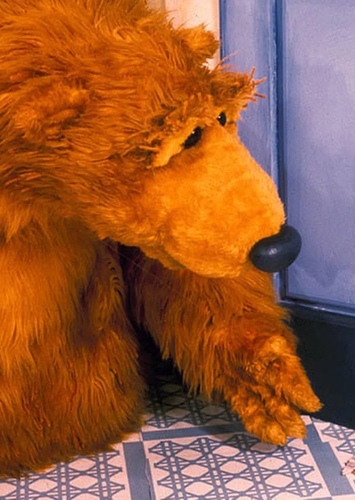 Bear
