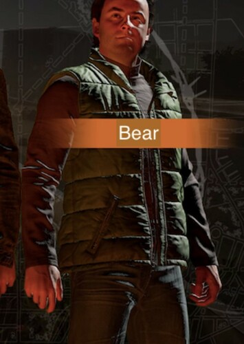 Bear Collier