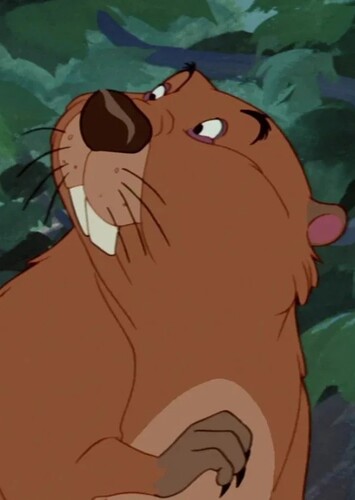 Beaver