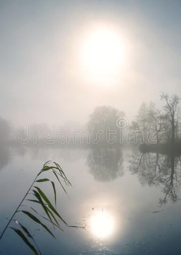 Behold the Pale Sun