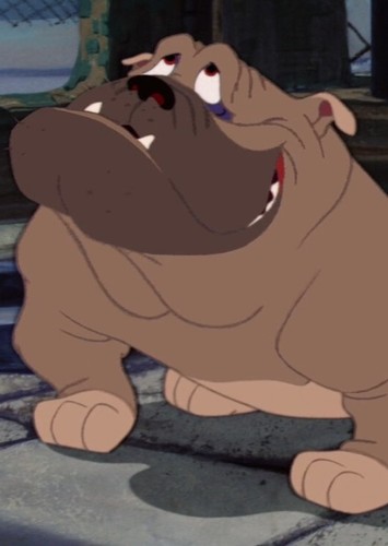 Belle