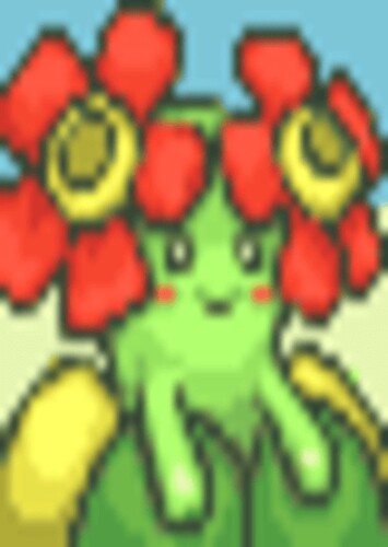 Bellossom (English Dub)