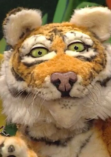 Bengal Tiger