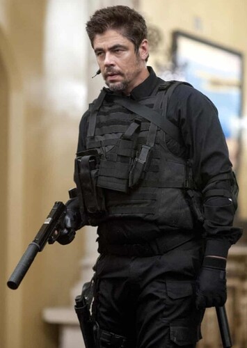 Benicio Del Toro