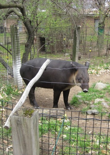 Bergen County Zoo