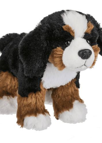 Bernese Mountain Dog