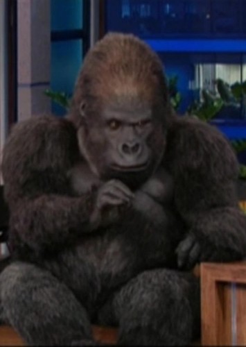 Bernie the Gorilla