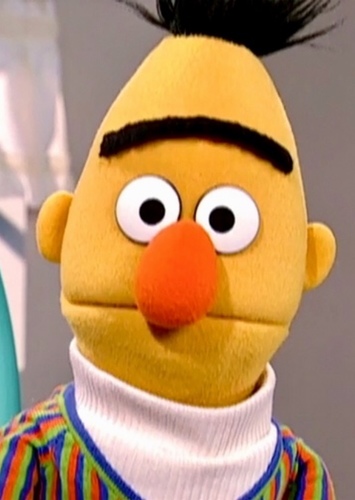Bert