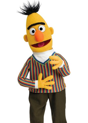 Bert