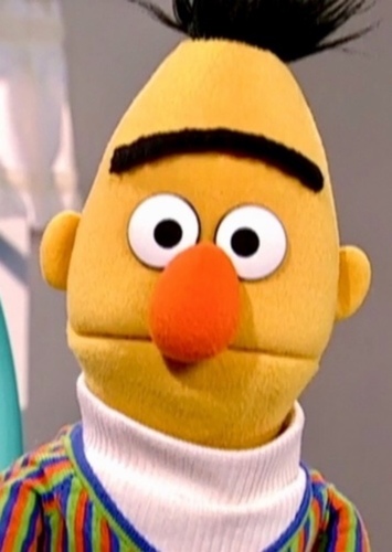 Bert