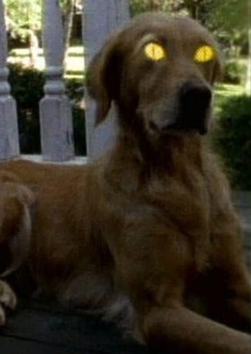 Best Goosebumps Episode