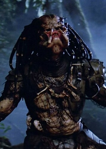Best Predator Film