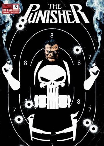 Best Punisher Writer