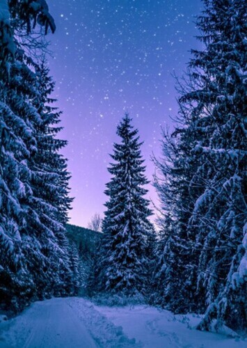 Best Winter Movie