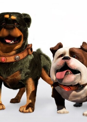 Beta and Gamma