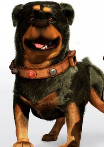 Beta The Rottweiler