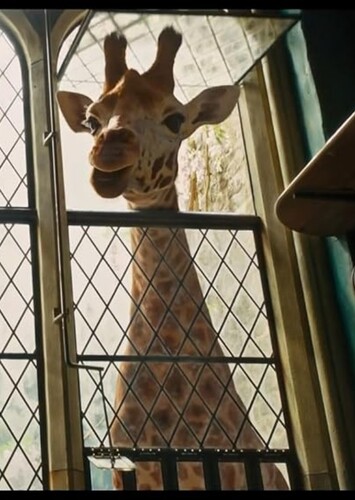 Betsy the Giraffe