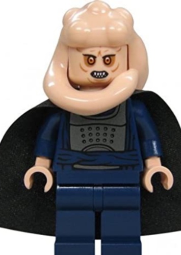 Bib Fortuna