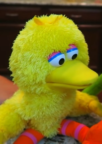 Big Bird