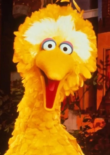 Big Bird