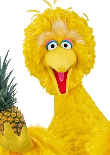 Big Bird